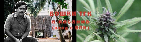 прущие крисы Пересвет