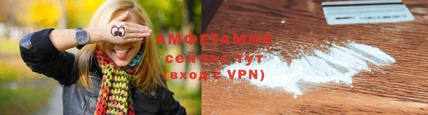 ГАЛЛЮЦИНОГЕННЫЕ ГРИБЫ Балахна
