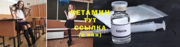 трава Аркадак
