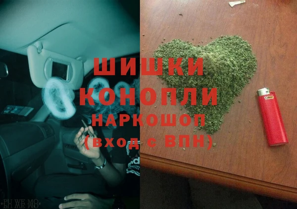 ГАЛЛЮЦИНОГЕННЫЕ ГРИБЫ Балахна