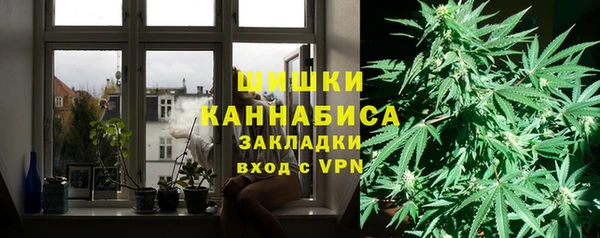 соль ск Арсеньев