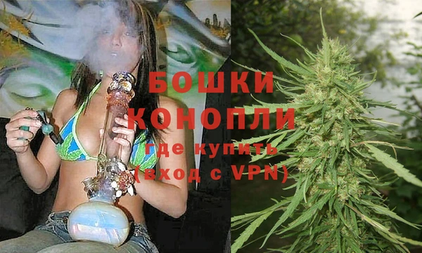 гашик Пестово
